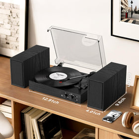 TANLANIN auxiliary input and headphone jack for private listening