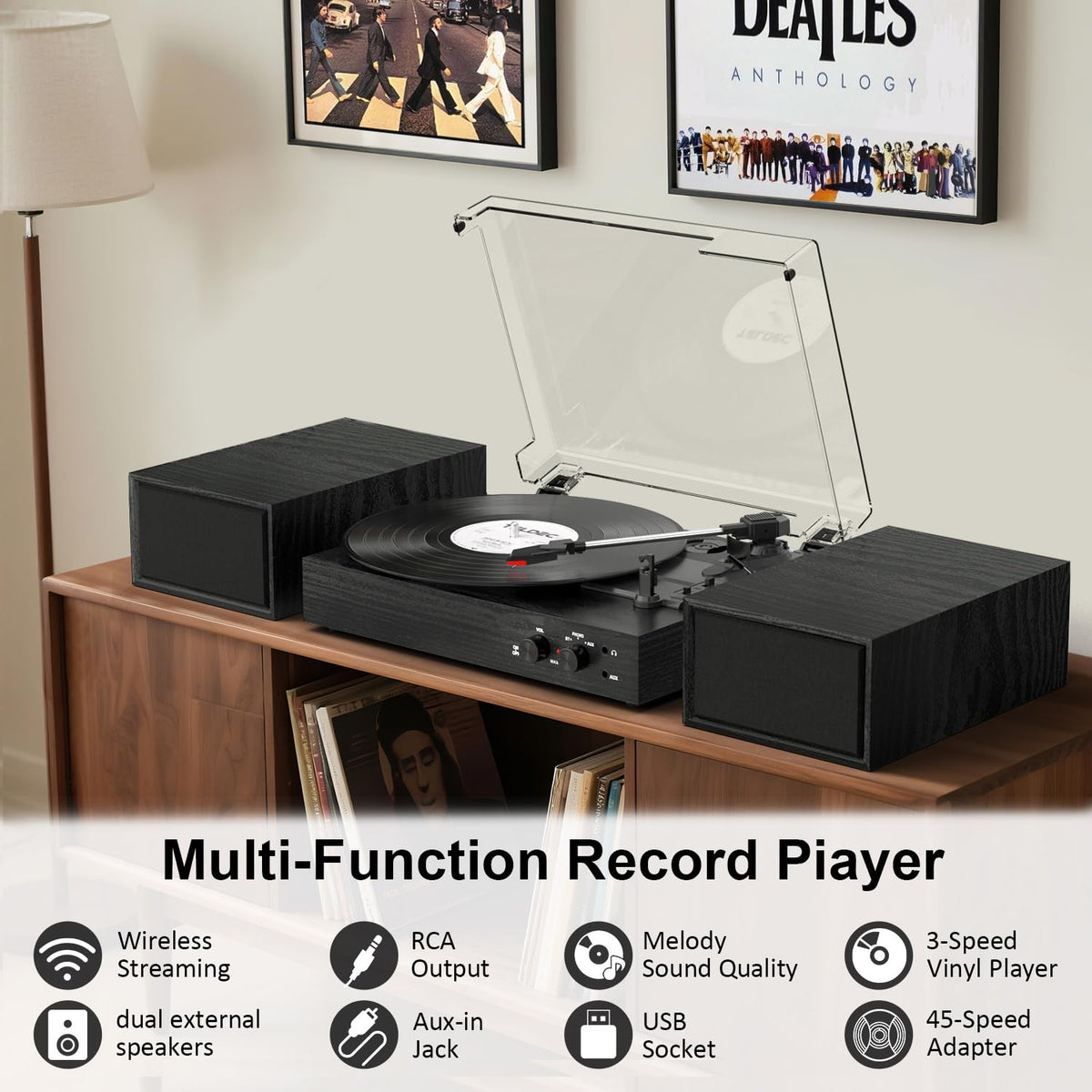 TANLANIN vinyl system with speaker pair side view shows versatile placement