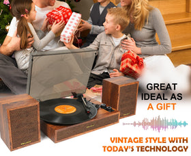 TANLANIN Aux-in lets you play digital devices through the turntable.