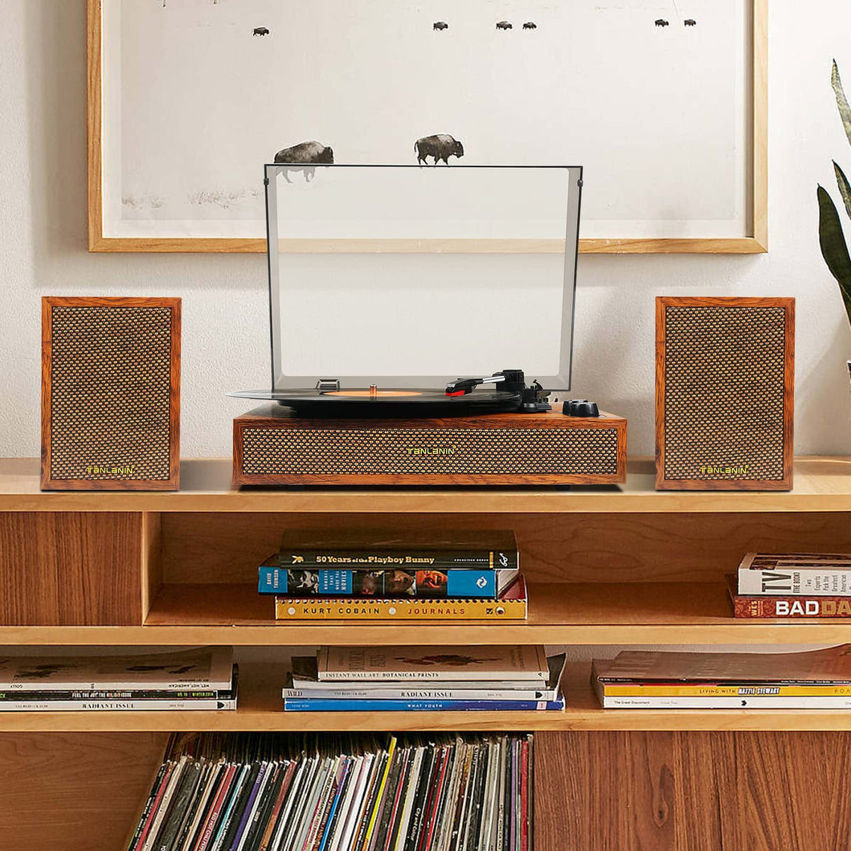 TANLANIN turntable with external speakers provides room-filling stereo for vinyl enthusiasts.