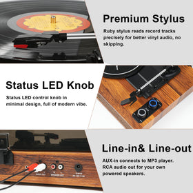 TANLANIN room-friendly setup showcases vintage-modern design in any living space.