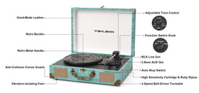 Tanlanin vinyl turntable speed-selection supports vintage and modern records.