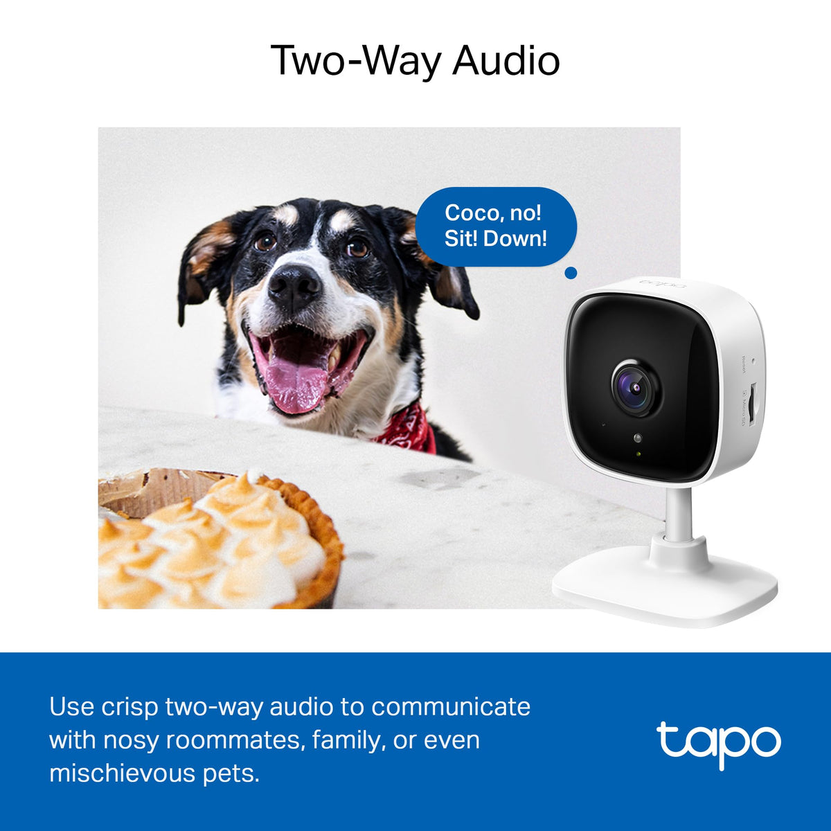 Tapo C100 microSD slot for local footage storage.