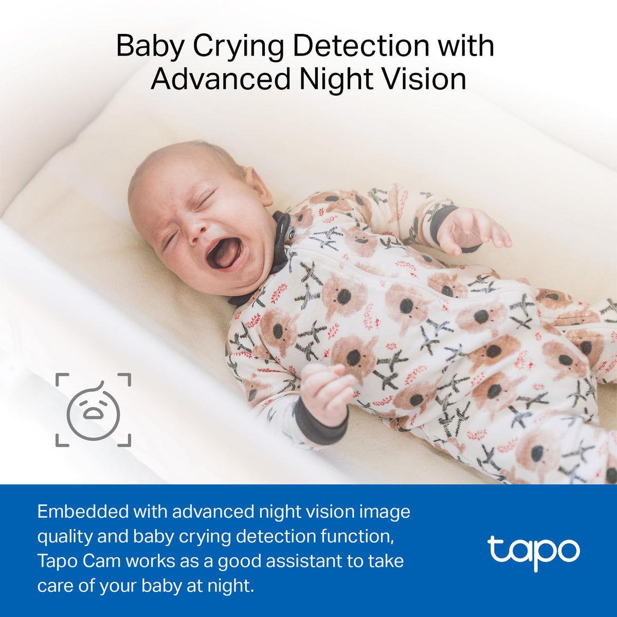 Tapo C100 storage options with microSD local and cloud choices.