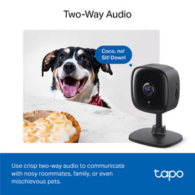 Tapo C101 local storage or cloud options support flexible footage saving