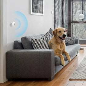 Tapo T100 motion sensor battery life provides long-lasting operation