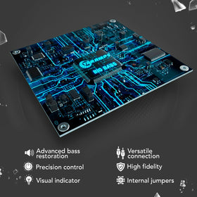 Taramps Big Bass front panel ports illustrate clean, distortion-free signal paths.