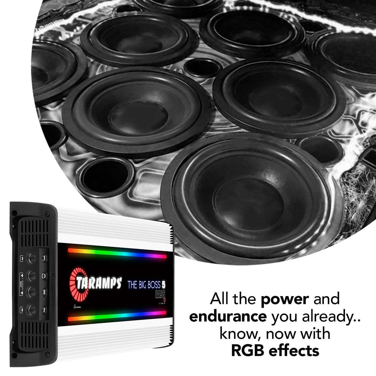 Taramp's The Big Boss 5 Bass White inner layout shows sturdy construction