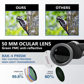 TEEM focus wheel and bridge showing easy adjustment for quick crisp focusing benefit