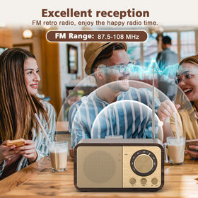 Tendak FM radio Bluetooth pairing for wireless music from your phone