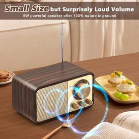 Tendak radio supporting TF card and USB playback for offline music