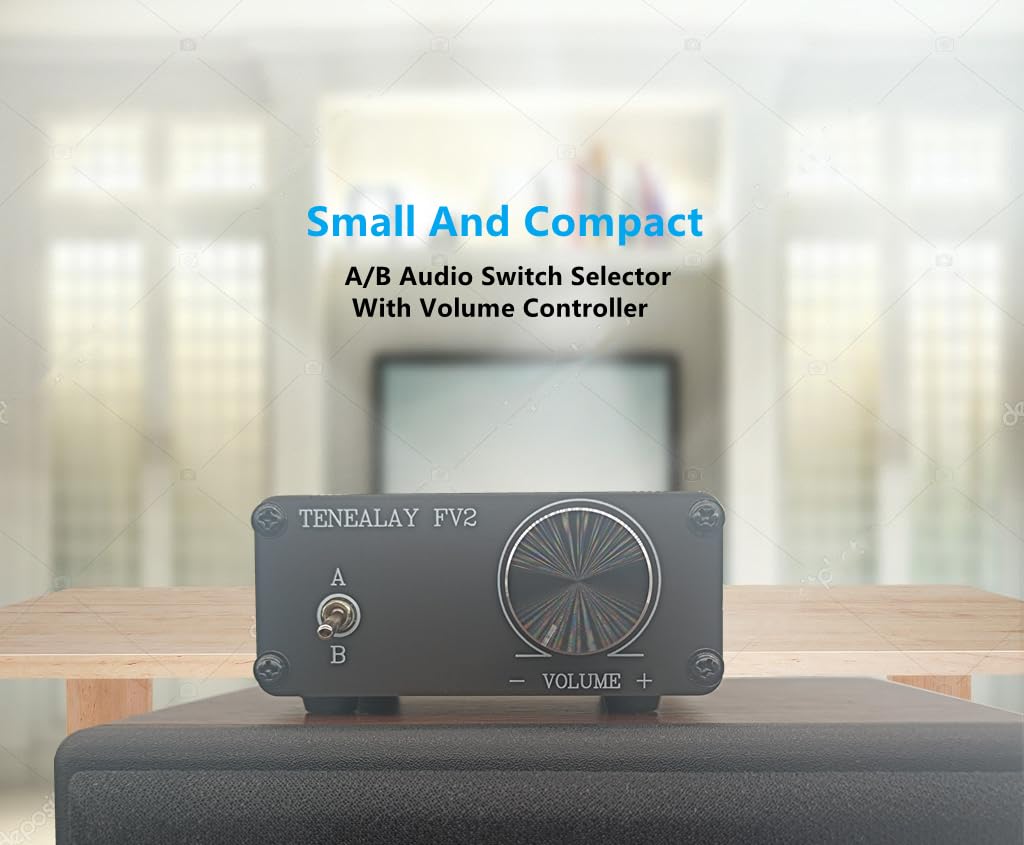 Tenelay FV2 rear RCA ports simplify source connection with two inputs