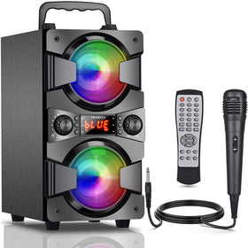 TENMIYA A20 front view showcasing speaker drivers and wooden cabinet, vibrant sound