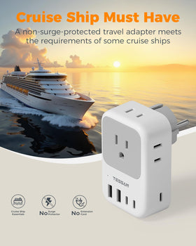 TESSAN travel adapter is not a voltage converter; check your device specs first.