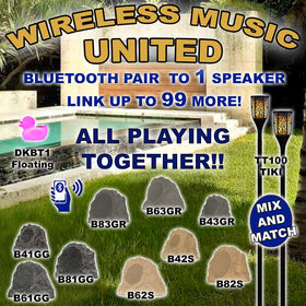 Theater Solutions B61GG package contents including two speakers and cables