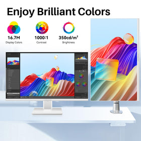 Thinlerain monitor provides HDMI and DisplayPort connectivity for versatile devices.