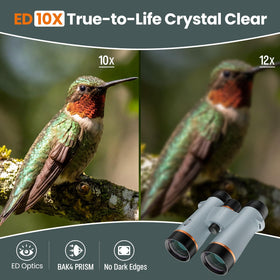 Three Triping binoculars enhance low-light detail recognition during dusk outings