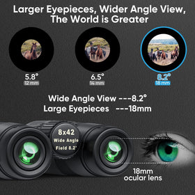 Timorn HD 8x42 low-light performance for clearer early morning views.