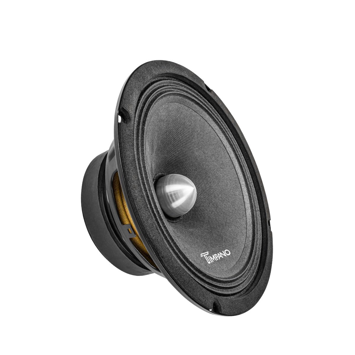 Timpano front view of the 8-inch midrange showing driver face and mounting points for clear imaging