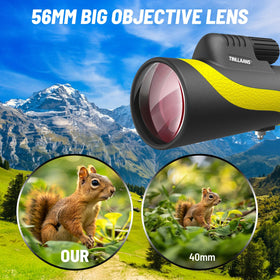 Tinllaans Bak-4 prism with FMC coating enhances brightness and true colors in changing light.