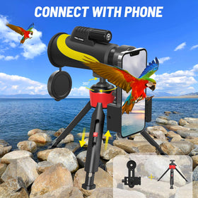 Tinllaans tripod and phone holder enable steady shots and easy sharing.
