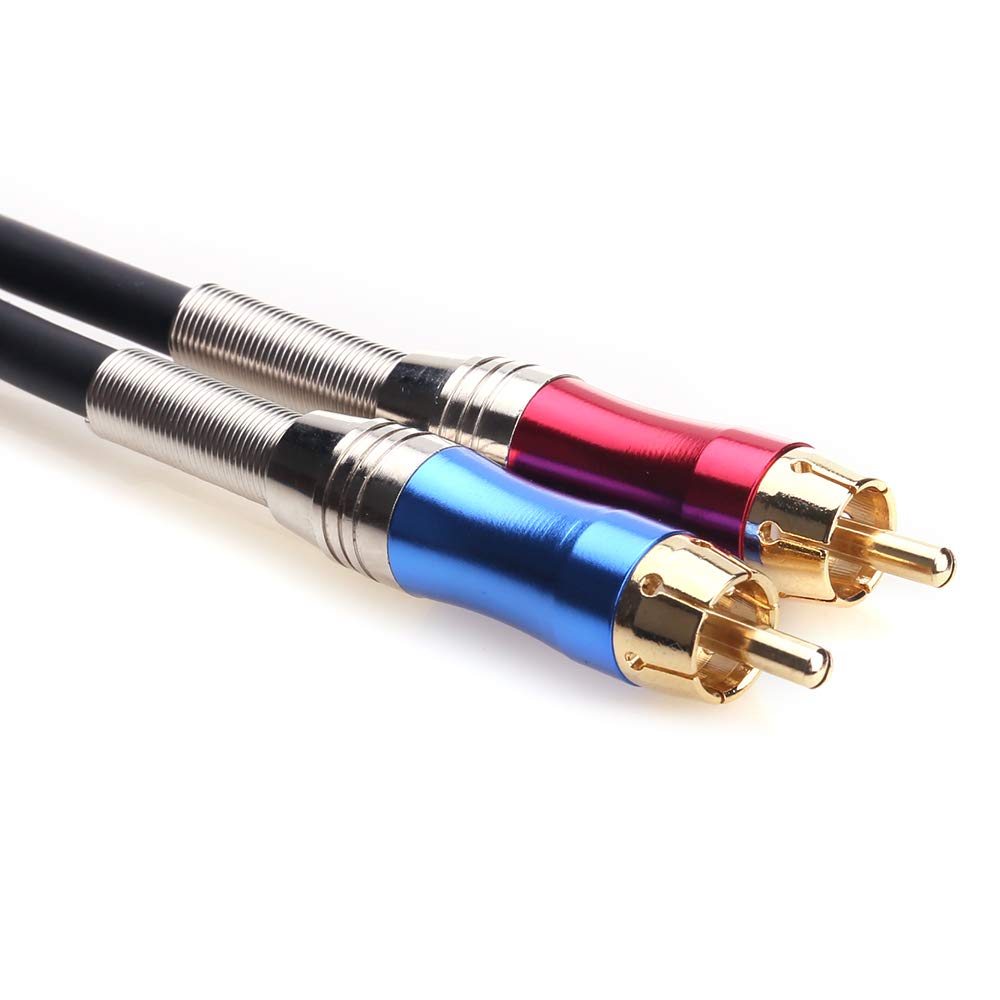 XLR female port and dual RCA outputs on the Tisino adaptor