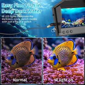 TMACTIME monitor displaying underwater fish view for instant spotting