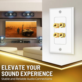 TNP Products close-up of gold-plated terminals illustrating corrosion resistance and reliable contact