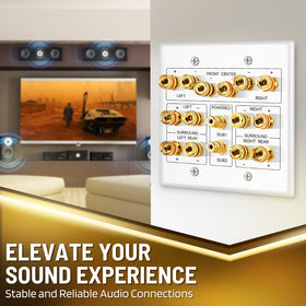 TNP Products wall plate with RCA and banana ports enables flexible speaker connections.