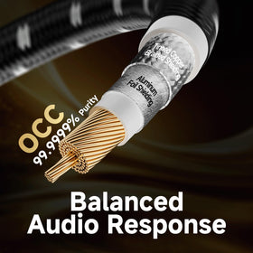 TODN gold-plated RCA connector close-up ensuring reliable conductivity and corrosion resistance