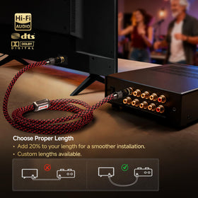 Todn RCA to RCA plug connection ready for quick, secure setup