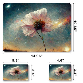 ToLuLu packaging displays gift-ready presentation for the skin kit.