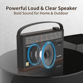 TOMASHI top controls with LED indicator showing intuitive tuning and settings