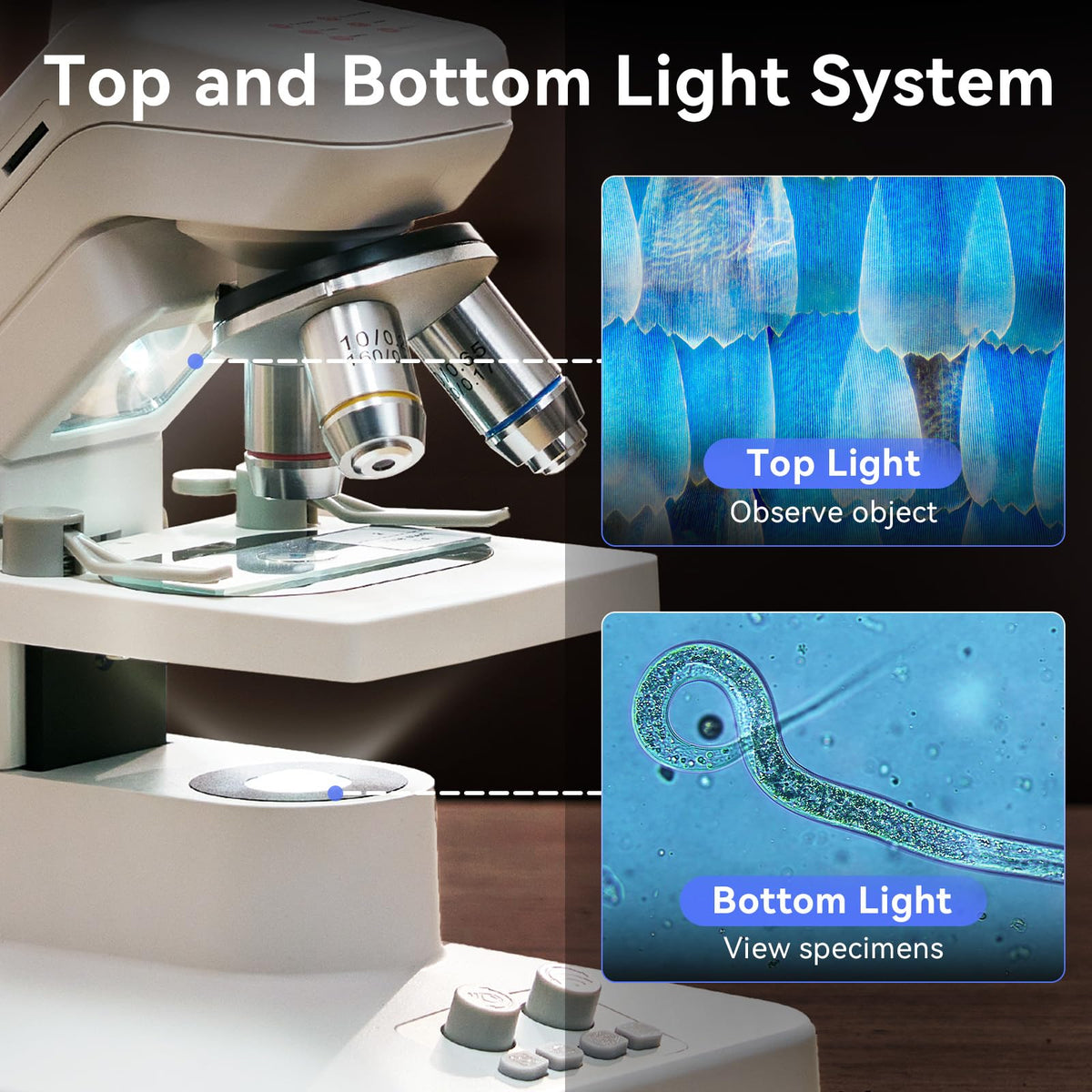 TOMLOV DM301 Pro dual LED lighting for clear viewing