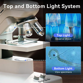 TOMLOV DM301 Pro dual LED lighting for clear viewing