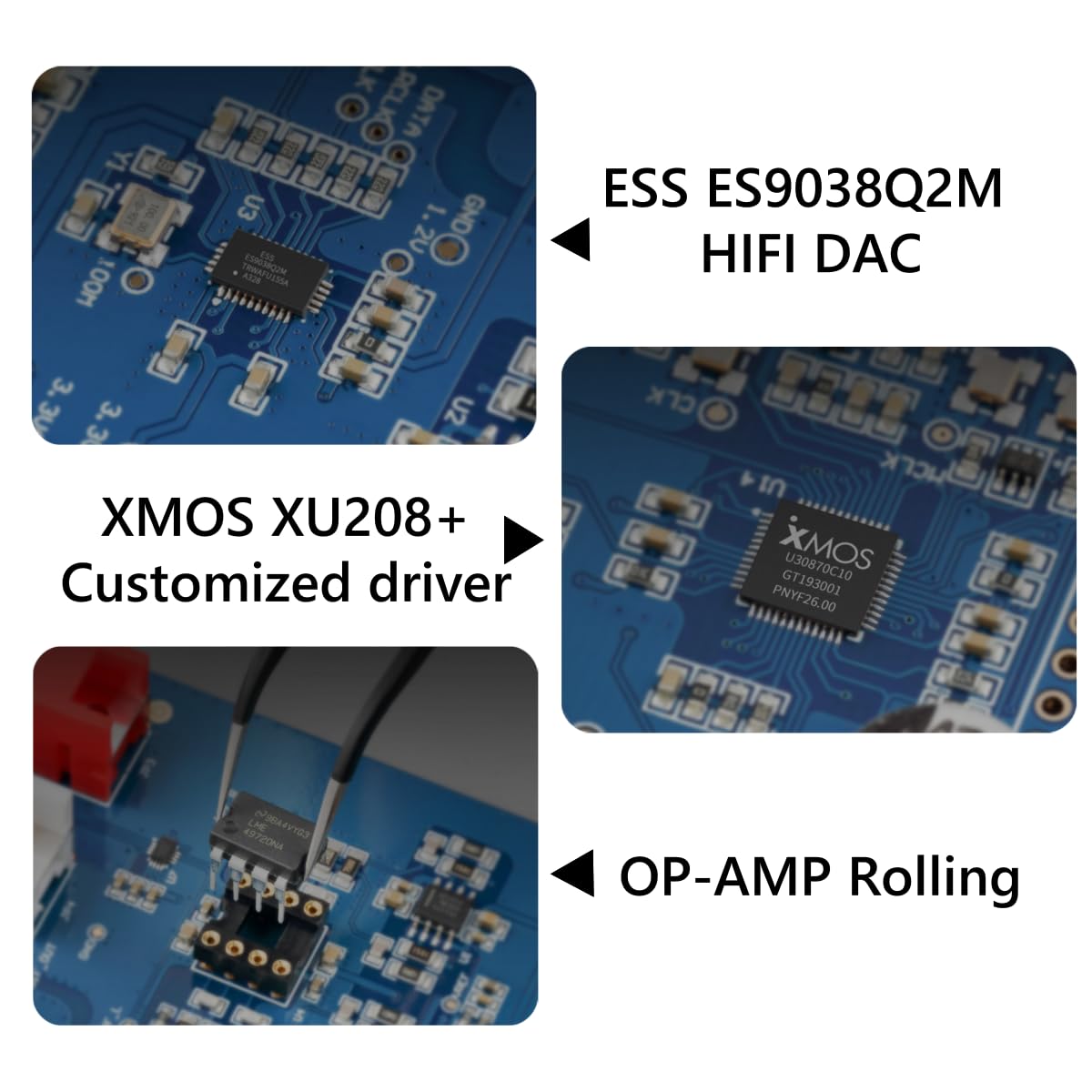 TOPPING D10s DSD mode display indicating native DSD support