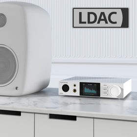 TOPPING DX5 II back ports keep your setup flexible and tidy