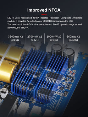 TOPPING L30II NFCA RCA inputs and outputs enabling easy system integration.