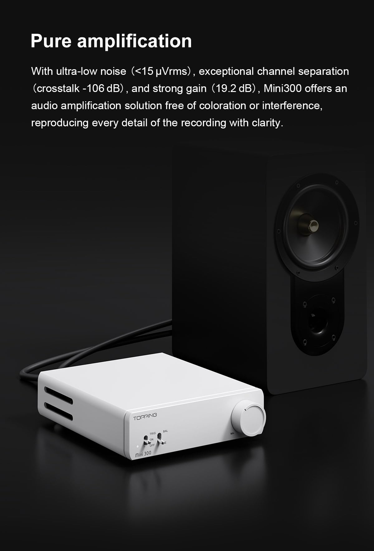 RCA inputs on TOPPING Mini300 ease DAC or preamp pairing.