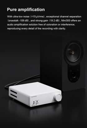 RCA inputs on TOPPING Mini300 ease DAC or preamp pairing.