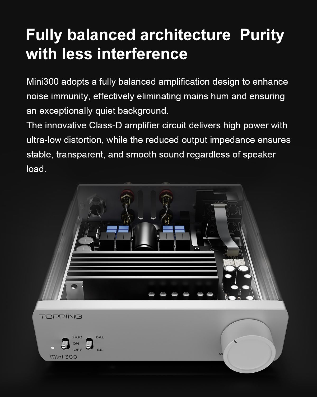 TOPPING Mini300 RCA inputs for flexible unbalanced connections in a compact chassis.