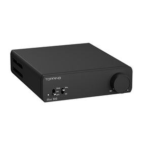 TOPPING Mini300 rear ports show dual inputs for versatile connections.