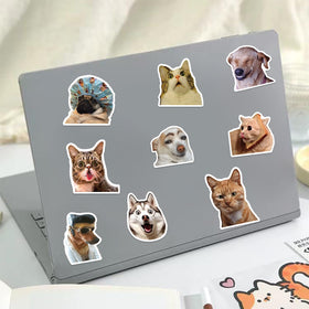 TOTEVOL cat meme sticker on a phone case shows your quirky side.