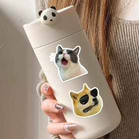 TOTEVOL dog meme sticker on a guitar case personalizes gear with whimsy.