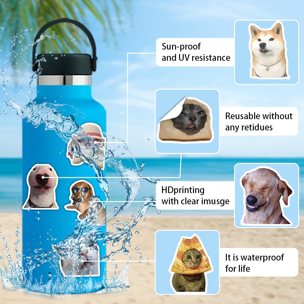 TOTEVOL dog meme sticker on a skateboard adds bold, removable flair.