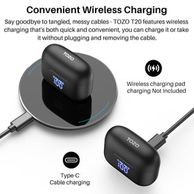 TOZO T20 array of six ear tips beside case for customizable comfort