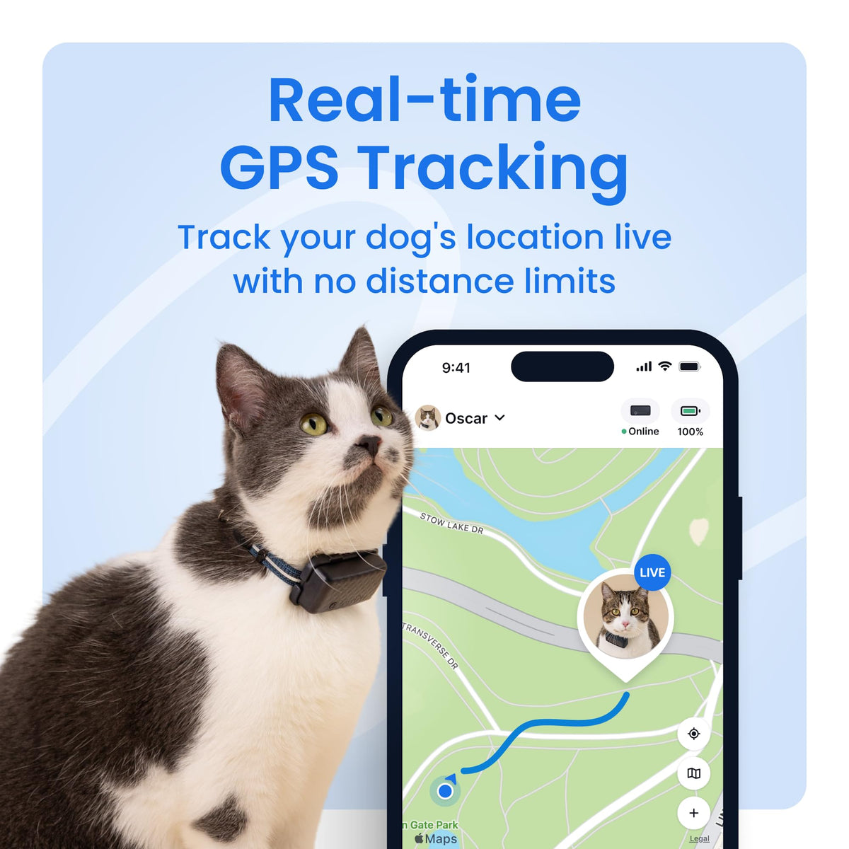 Tractive Cat Mini live-tracking map shows quick location updates outdoors.