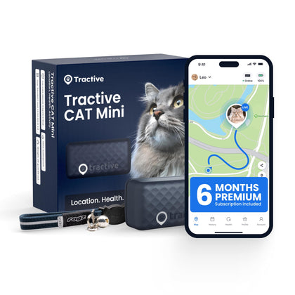 Tractive GPS Tracker on a cat in dark blue with real-time location updates.