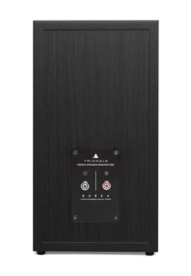 Triangle Borea BR03 black finish pair ready for stylish home cinema.