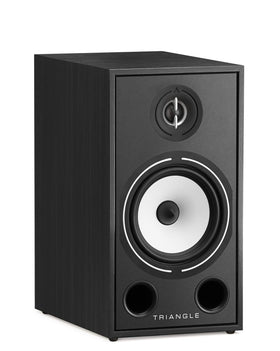 Triangle Borea BR03 tweeter detail highlights 25mm silk dome clarity.